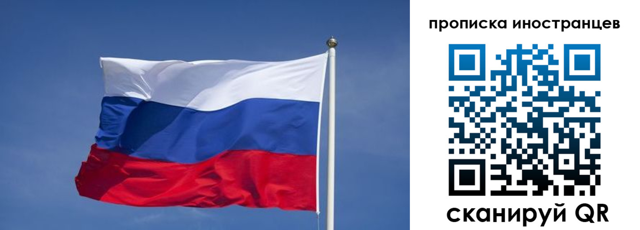найти адрес прописки в Сертолово